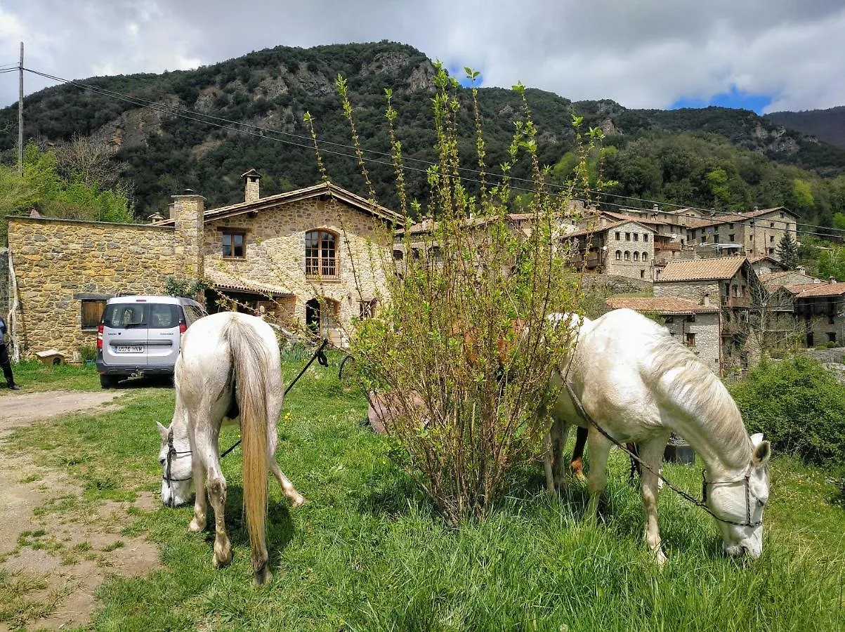 Bed&Breakfast La Cabanya De Beget